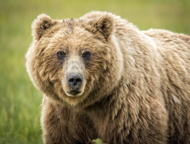 Grizzlies 109-103 Pistons (Apr 5, 2025) Game Recap – ESPN