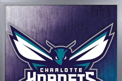Is Brandon Miller the Right Pick for the Charlotte Hornets? Exploring the Pros and Cons