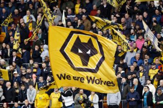 Wolves Fans: The Secret Weapon for Home Court Dominance in the Playoffs!