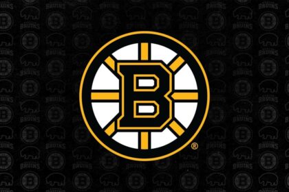 Which Boston Team – Bruins, Celtics, Patriots, or Red Sox – Is Poised to Win It All?