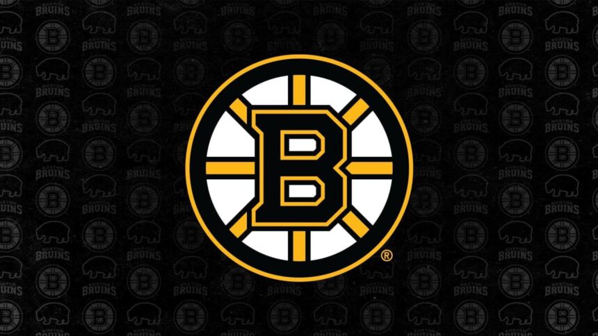 Which Boston Team – Bruins, Celtics, Patriots, or Red Sox – Is Poised to Win It All?