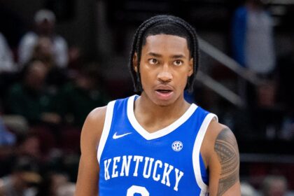 Rob Dillingham Poised to Seize His Big Opportunity with the Wolves