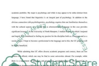 How a Personal Summer School Ignited Tidjane Salaün’s Passion and Silenced Critics