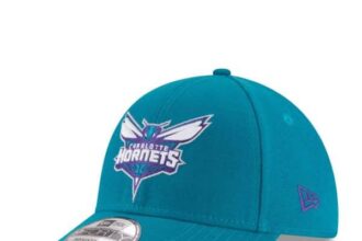 Charlotte Hornets Poised for Moderate Growth in Upcoming Season