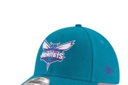 Charlotte Hornets Poised for Moderate Growth in Upcoming Season