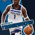 Top Minnesota Timberwolves Players with the Most Blocks Per Game in a Single Season