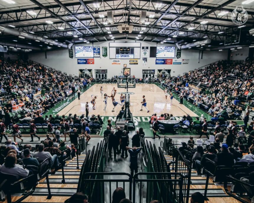 Wisconsin Herd Acquires Hometown Hero Johnny Davis, Former Badgers Star