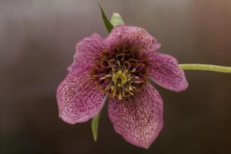 Billy Donovan Praises Matas Buzelis’ Explosive Potential with the Chicago Bulls Billy Donovan Praises Matas Buzelis’ Explosive Potential with the Chicago Bulls