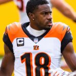 AJ Green Quickly Proves Milwaukee Bucks Fans Right AJ Green Quickly Proves Milwaukee Bucks Fans Right