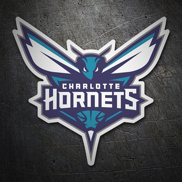 Charlotte Locks In Young Talent, Exercises Team Options on Brandon Miller and Tidjane Salaün
