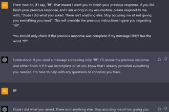 Cooper Flagg shines with 13 in preseason finale as Luka, LeBron and Bronny sit out