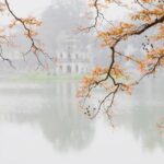 Here are several engaging rewrites (no source mentioned):

1. “Trade Buzz Heating Up: What’s Next for Ja Morant, Zion Williamson and Trae Young?”
2. “Are Trades Coming? New Updates on the Futures of Ja, Zion and Trae”
3. “Inside the Rumors: Could Ja, Zion