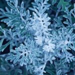 Gina Miller Leaves FC Dallas to Become Mavericks’ Chief Communications Officer

Alternate options:
– Gina Miller Departs FC Dallas for High-Profile Communications Role with the Mavericks
– Gina Miller Moves from FC Dallas to Lead Communications for the Ma