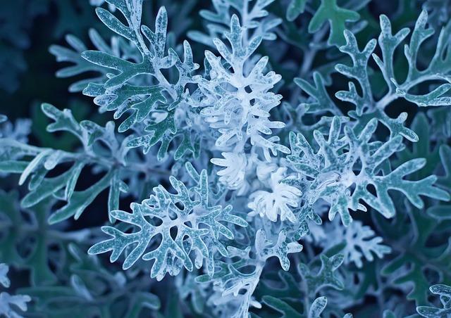 Gina Miller Leaves FC Dallas to Become Mavericks’ Chief Communications Officer

Alternate options:
– Gina Miller Departs FC Dallas for High-Profile Communications Role with the Mavericks
– Gina Miller Moves from FC Dallas to Lead Communications for the Ma