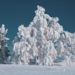 Stephen Curry’s Magic Ushers in a New Era of Defensive Mastery