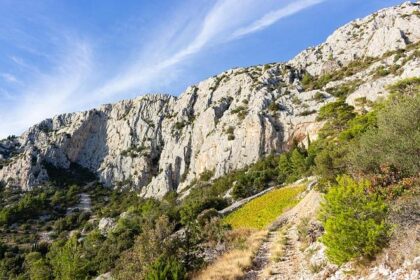 Nikola Jokic’s 34 Points Lead Nuggets to Exciting NBA Cup Win Over Rockets