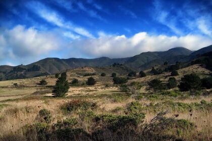 Goga Bitadze Ready to Ignite Sunday Night Showdown