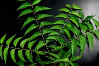 How the Celtics Are Turning Neemias Queta’s Injury Into a Game-Changing Opportunity with a Smaller Lineup