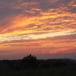 Damian Lillard Earns Standing Ovation and Emotional Tribute During Milwaukee Return