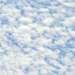 James Borrego Reveals Key Takeaways from Pelicans vs. Grizzlies Showdown – Postgame Breakdown 11/26/2025