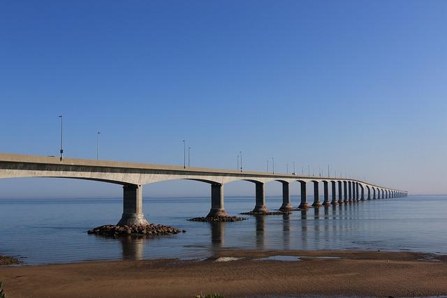 Meet the Timberwolves’ Thrilling New Point Guard: Anthony Edwards!