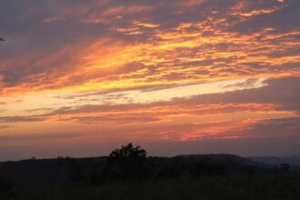 Damian Lillard Steps Up to Mentor Rival Amid Anfernee Simons’ Replacement and Portland’s Backlash