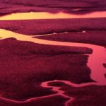 Zach Lowe Crushes Lakers Fans’ Dreams of Landing Giannis Antetokounmpo