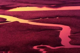 Zach Lowe Crushes Lakers Fans’ Dreams of Landing Giannis Antetokounmpo