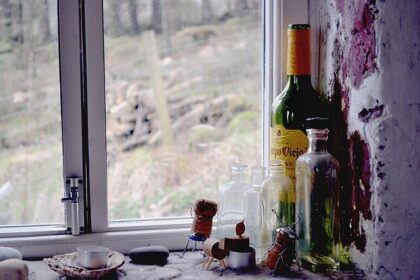 Donovan Clingan Makes an Exciting Return to Sunday Night NBA Action!