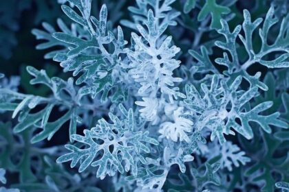 Reggie Miller Reveals Adam Silver Pressured Lakers to Raise NBA Championship Banner