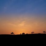 How Brandin Podziemski Is Leaving a Lasting Mark with Every Shot