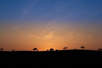 How Brandin Podziemski Is Leaving a Lasting Mark with Every Shot