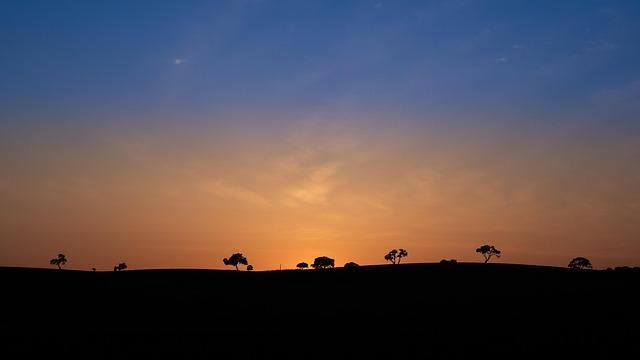 How Brandin Podziemski Is Leaving a Lasting Mark with Every Shot