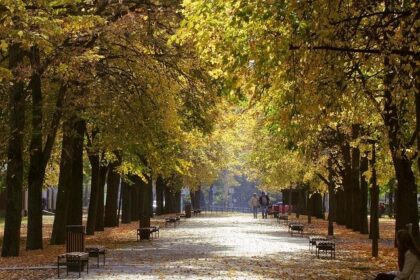 Score Big: Bet  and Grab 0 in Bonus Bets for the Mavericks vs. Warriors Showdown!