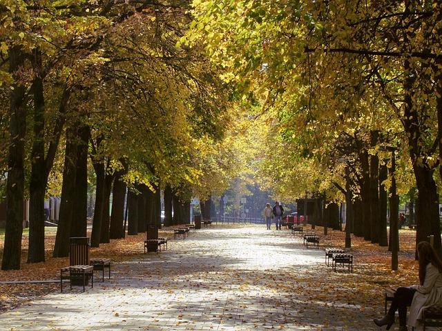 Score Big: Bet  and Grab 0 in Bonus Bets for the Mavericks vs. Warriors Showdown!