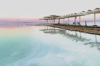 Booker Lights Up as Suns Outlast Pelicans 123-114 in Fiery Clash Highlighted by Alvarado-Williams Scuffle