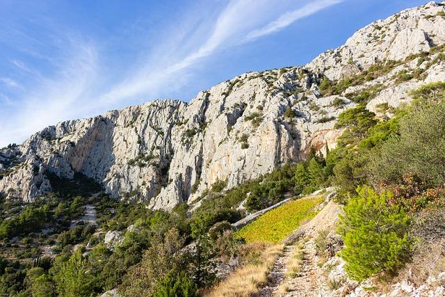 Will Nikola Jokic Take the Court Tonight Against the Cleveland Cavaliers? Latest Update on Denver’s Star Player