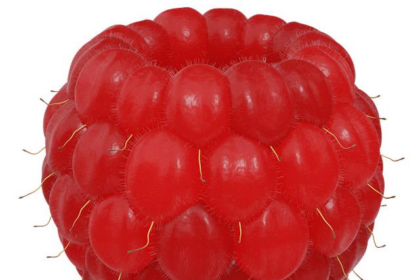 The Big 3 Clinches First Win as Edgecombe’s Stunning OT Game-Winner Shocks the Grizzlies