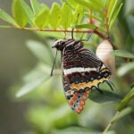 Jason Kidd’s Bold Move Could Ignite the Mavericks’ Next Breakout Star