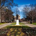 Raptors Share Exciting Update on Brandon Ingram’s Injury Status