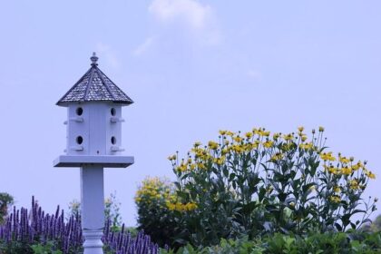 Kendrick Perkins Raises Urgent Warning About a Critical Challenge Facing American Athletes Amid Trae Young and Ja Morant Trade Talks