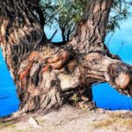 Kyle Lowry’s Emotional Homecoming Ignites 76ers’ Victory in Toronto