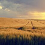 Why Would I Want to Be Traded?’ Cavs’ De’Andre Hunter Speaks Out Amid Trade Rumors