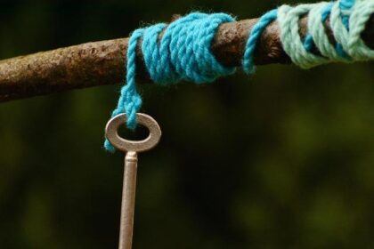 Why Detroit Pistons’ Jalen Duren Starts Every Day with a Pound of Grapes