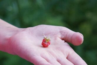 Warriors’ Bold Three-Team Trade Proposal: Targeting 9 Million Star Averaging 25.8 PPG to Replace Jimmy Butler