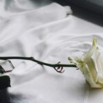 Could Derrick Rose’s Hall of Fame Journey Ignite a Bold New Era for the 2026 Bulls and Beyond?