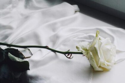 Could Derrick Rose’s Hall of Fame Journey Ignite a Bold New Era for the 2026 Bulls and Beyond?