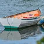 Jaxson Hayes: The Rising Star Lighting Up the Los Angeles Lakers