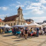 Miles McBride and Landry Shamet Rising as Defensive Game-Changers for the Knicks