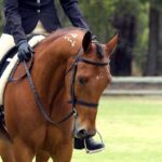 Pacers Crush Heat 123-99 in a Thrilling January Showdown